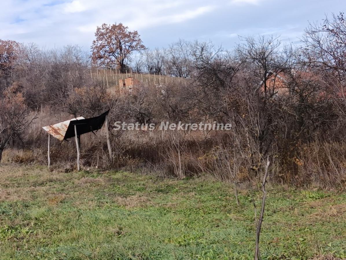 Plac Prodaja Sremski Karlovci Plac Prodaja Sremski Karlovci 0 m2