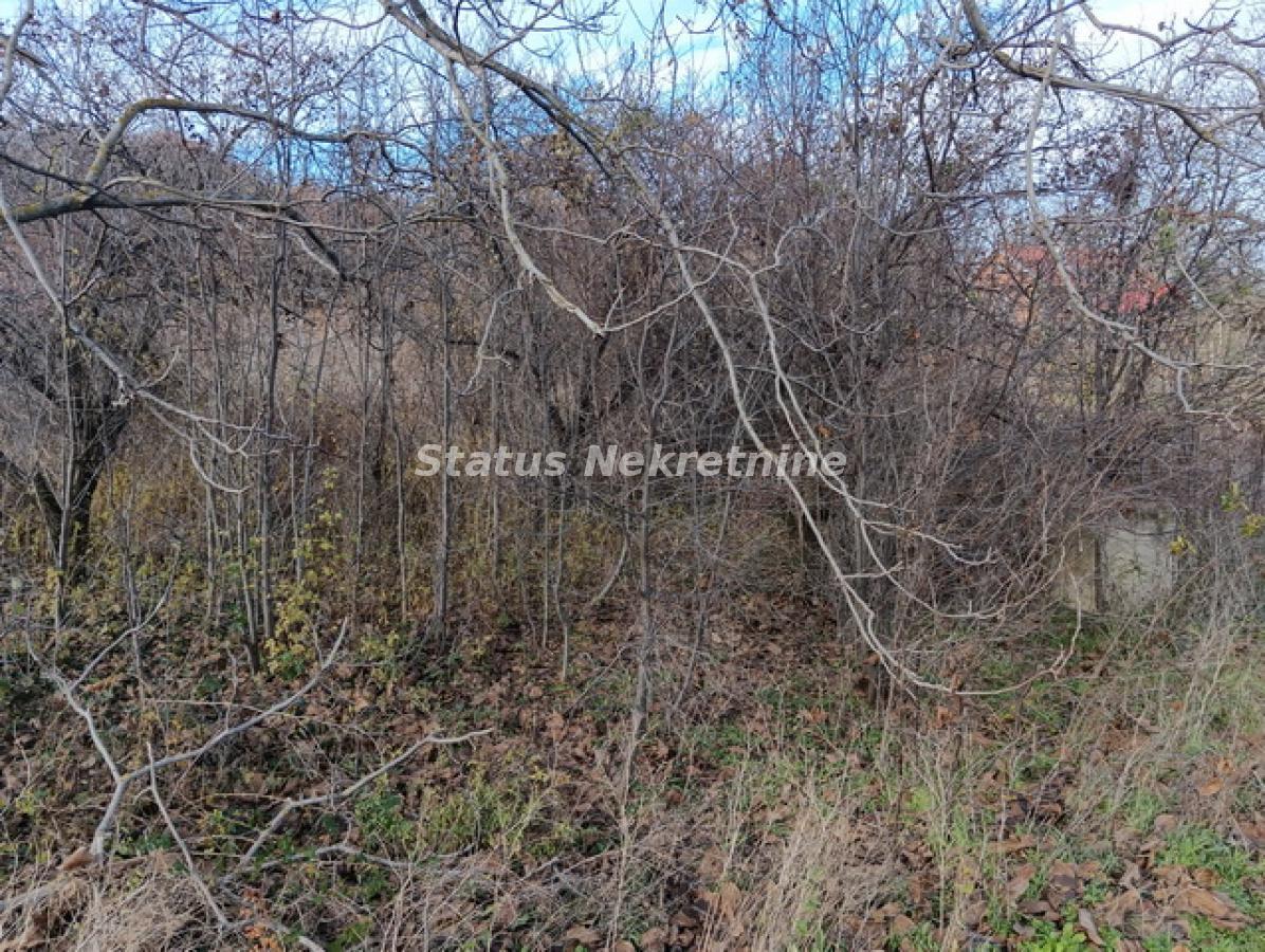 Plac Prodaja Sremski Karlovci Plac Prodaja Sremski Karlovci 0 m2