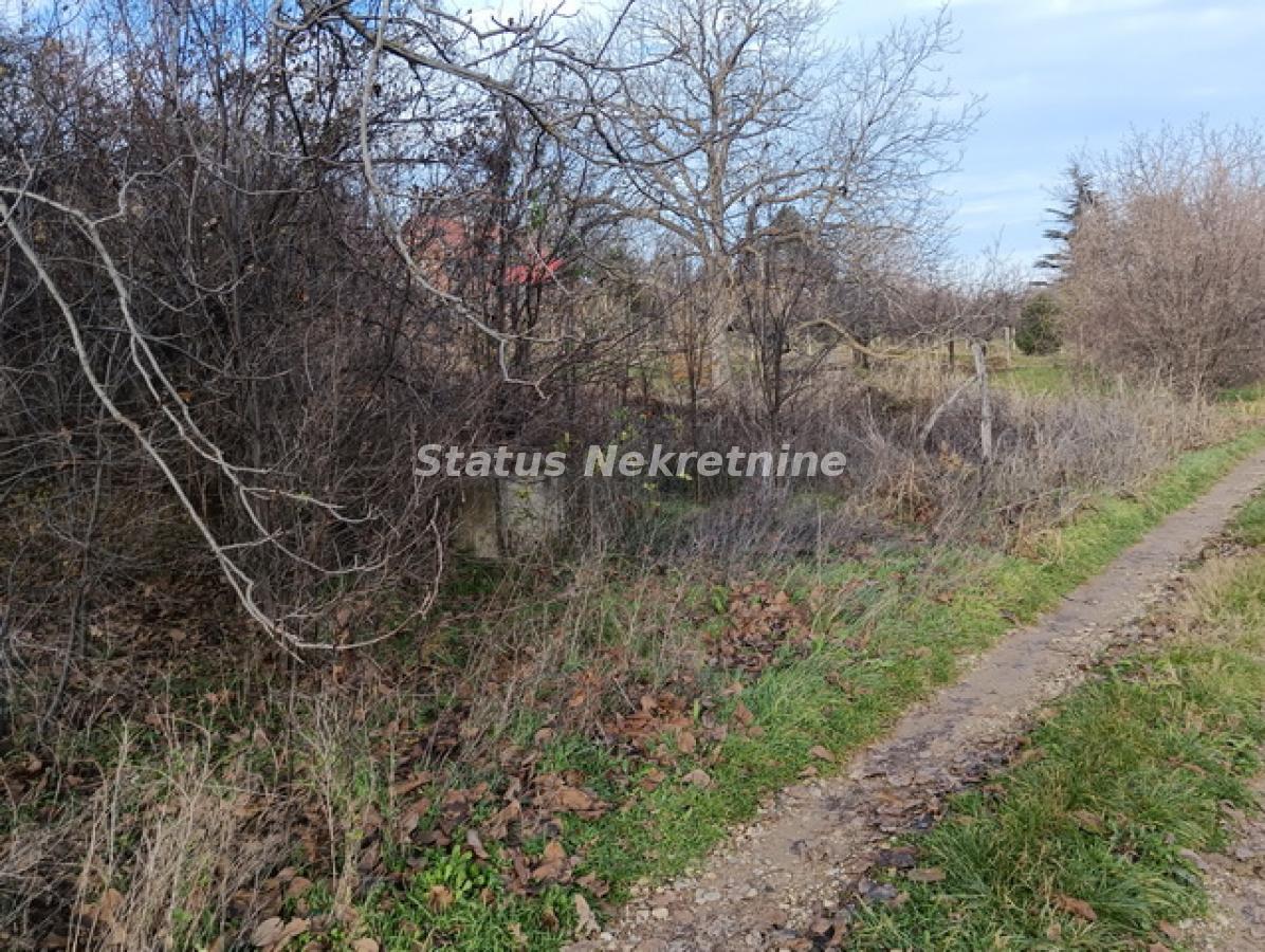 Plac Prodaja Sremski Karlovci Plac Prodaja Sremski Karlovci 0 m2