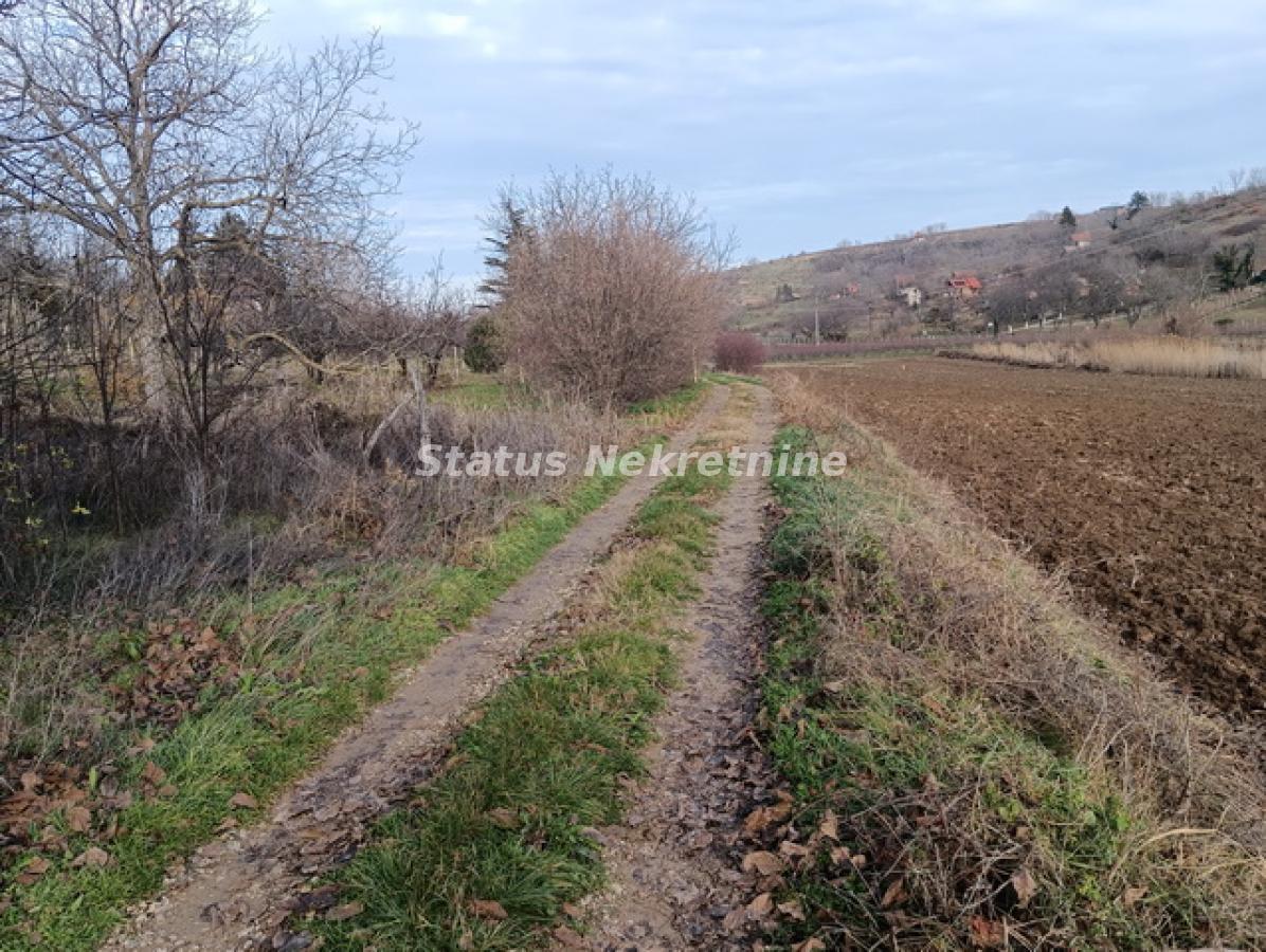 Plac Prodaja Sremski Karlovci Plac Prodaja Sremski Karlovci 0 m2