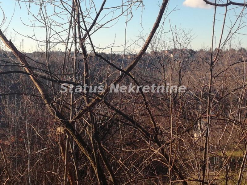 Plac Prodaja Novi Sad Plac Prodaja Novi Sad 0 m2