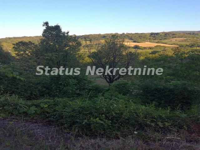Plac Prodaja Novi Sad  0 m2