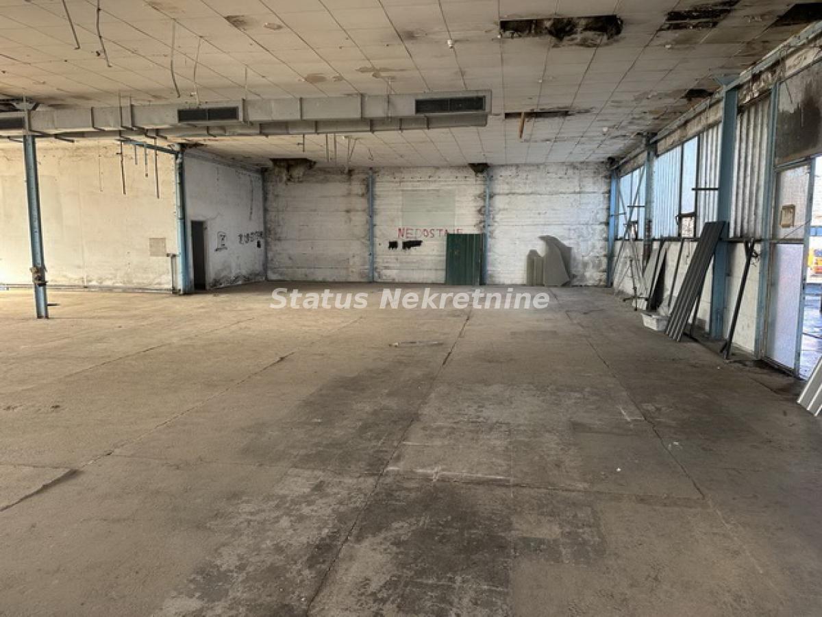 Lokal Izdavanje Novi Sad  300 m2