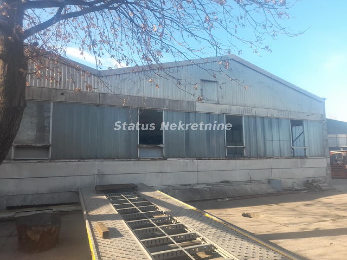 Lokal Izdavanje Novi Sad  300 m2