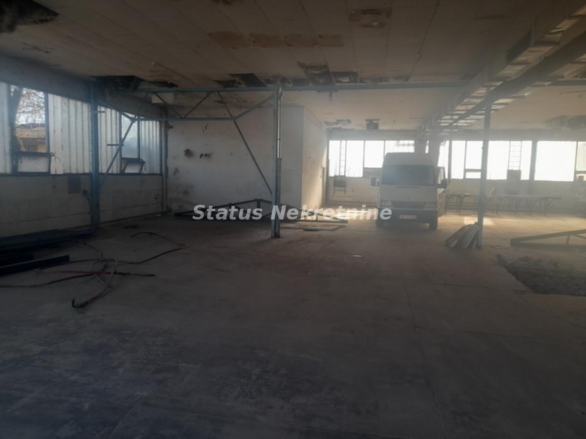 Lokal Izdavanje Novi Sad  300 m2