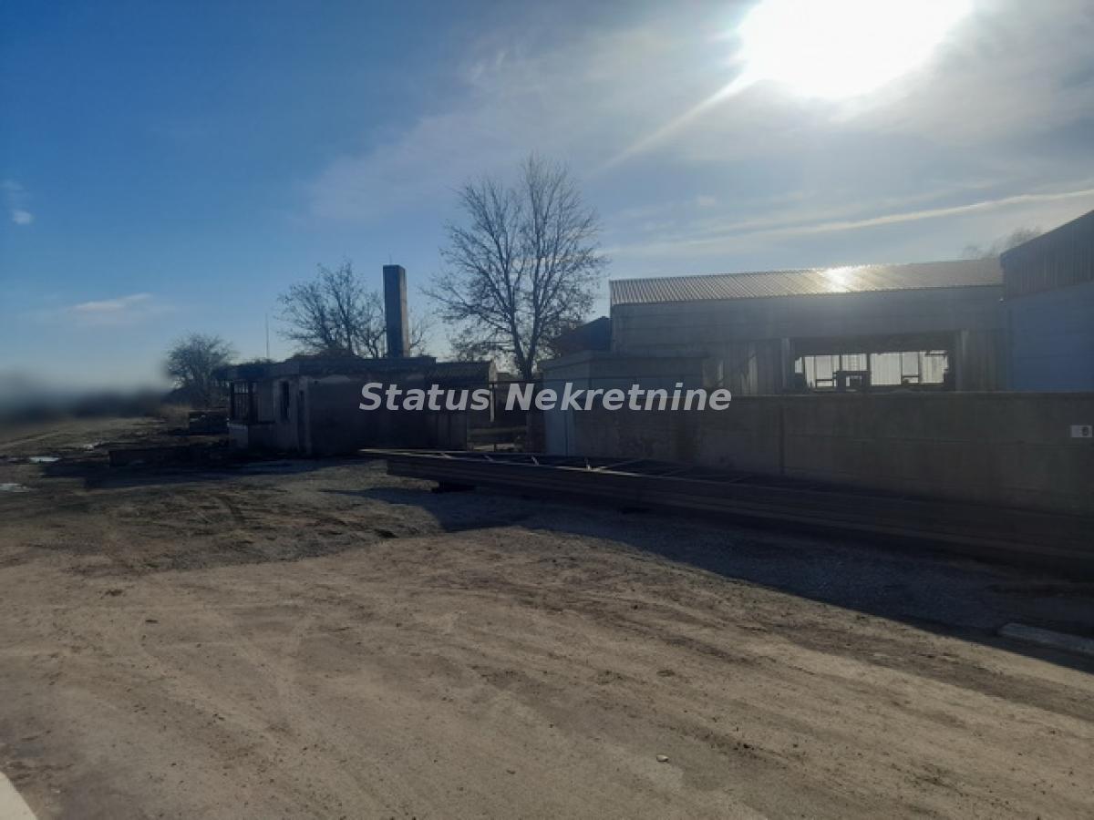 Lokal Izdavanje Novi Sad  300 m2