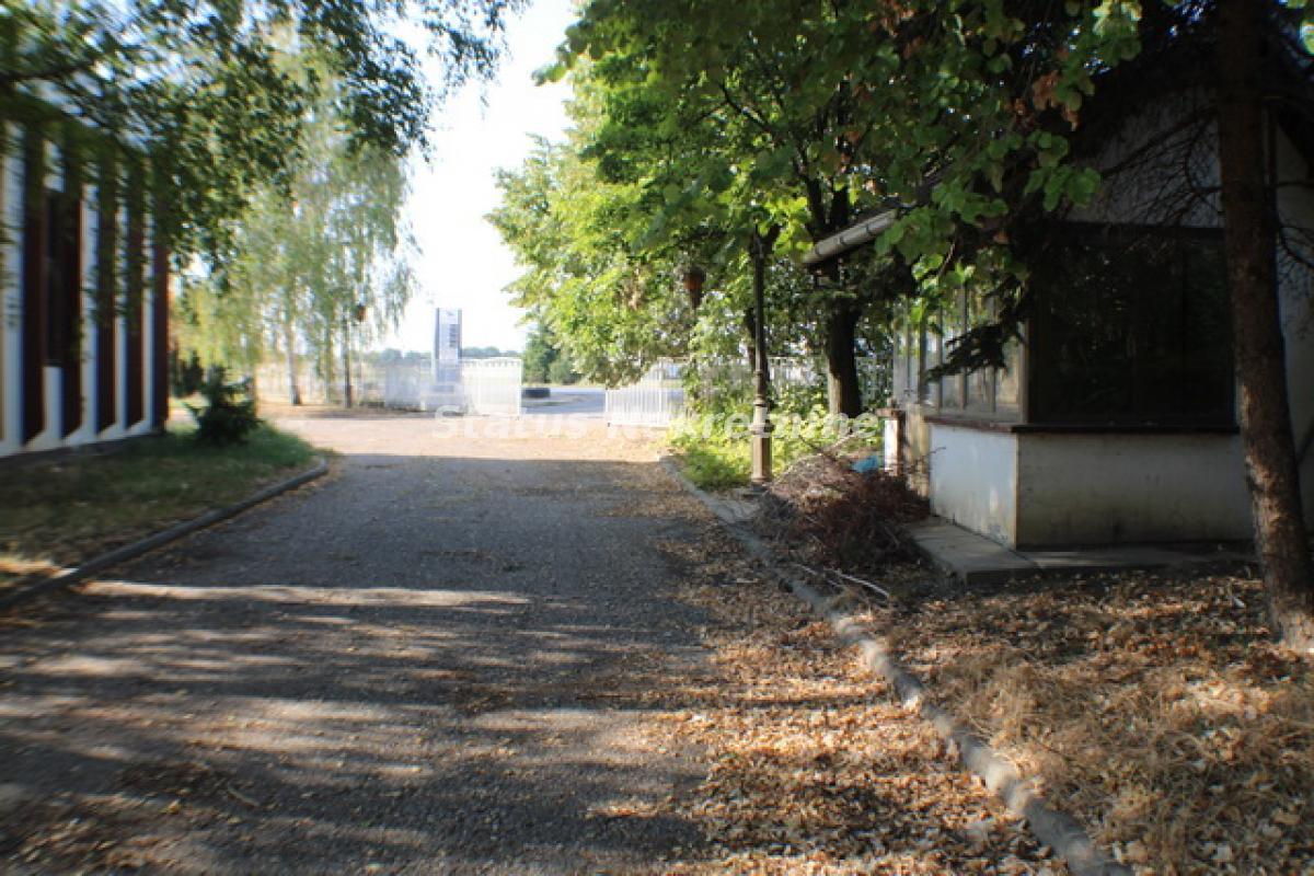 Lokal Izdavanje Temerin  590 m2