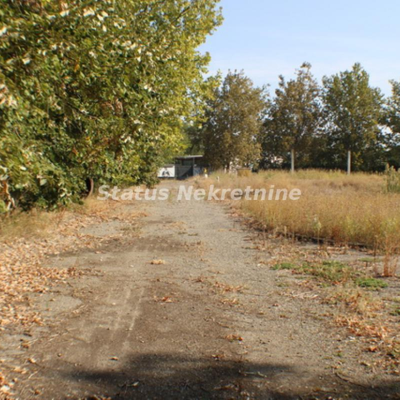 Lokal Izdavanje Temerin  590 m2