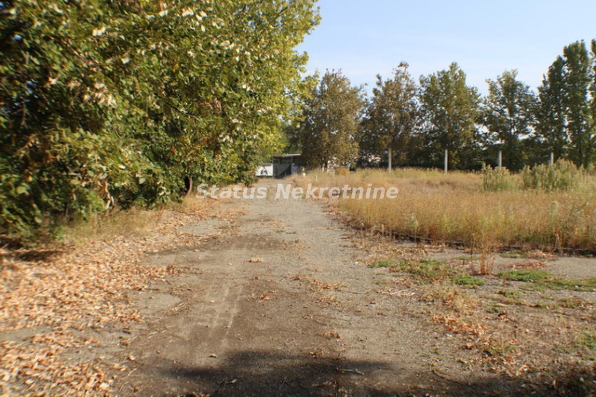 Lokal Izdavanje Temerin  590 m2