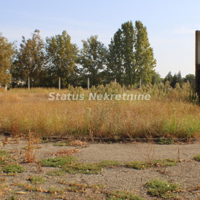 Lokal Izdavanje Temerin  590 m2