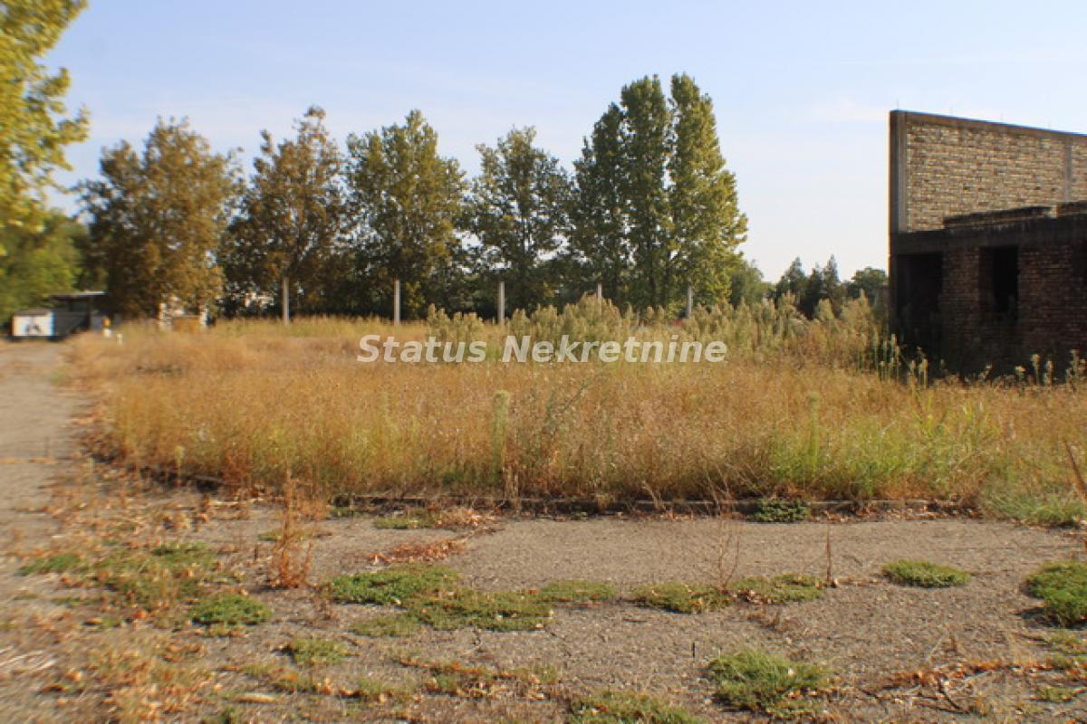 Lokal Izdavanje Temerin  590 m2