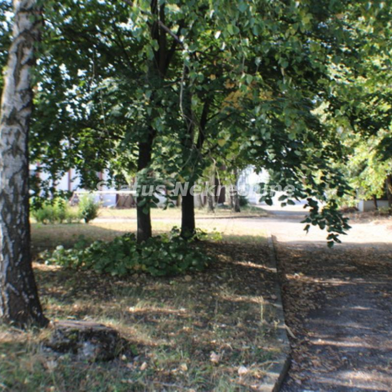 Lokal Izdavanje Temerin  590 m2