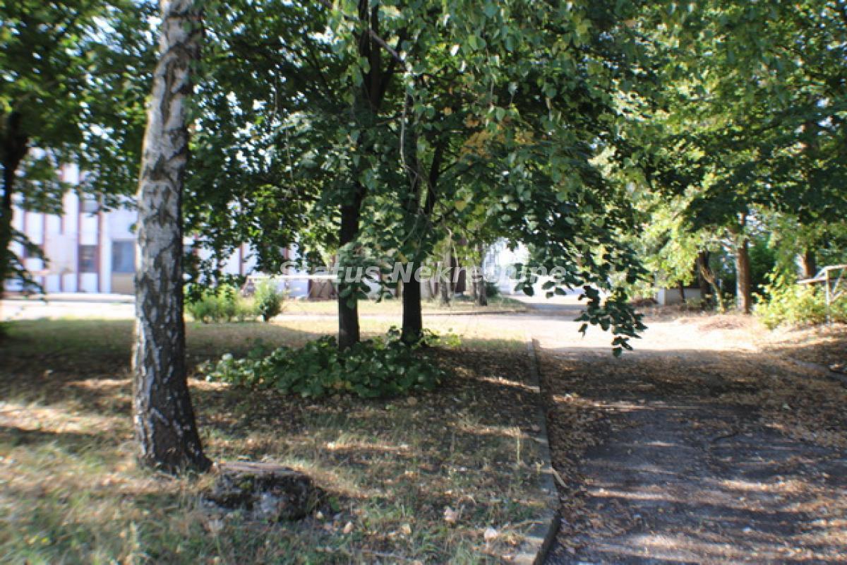 Lokal Izdavanje Temerin  590 m2