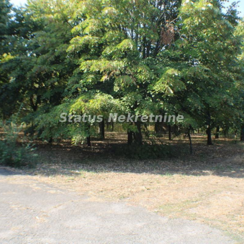 Lokal Izdavanje Temerin  590 m2