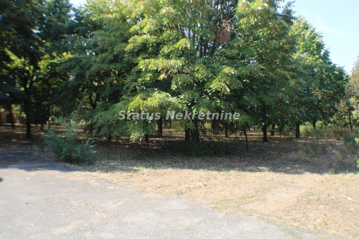 Lokal Izdavanje Temerin  590 m2
