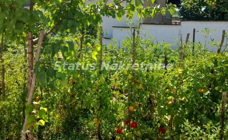 Kuća Prodaja Novi Sad  96 m2