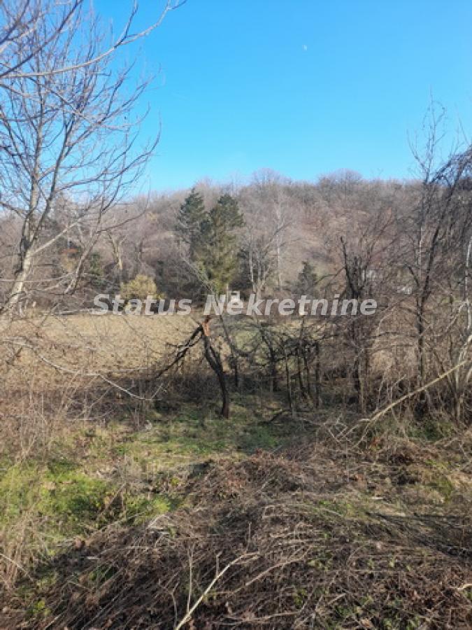 Plac Prodaja Novi Sad Plac Prodaja Novi Sad 0 m2