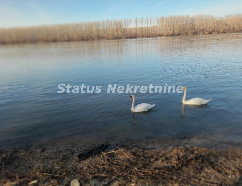 Plac Prodaja Beočin  0 m2