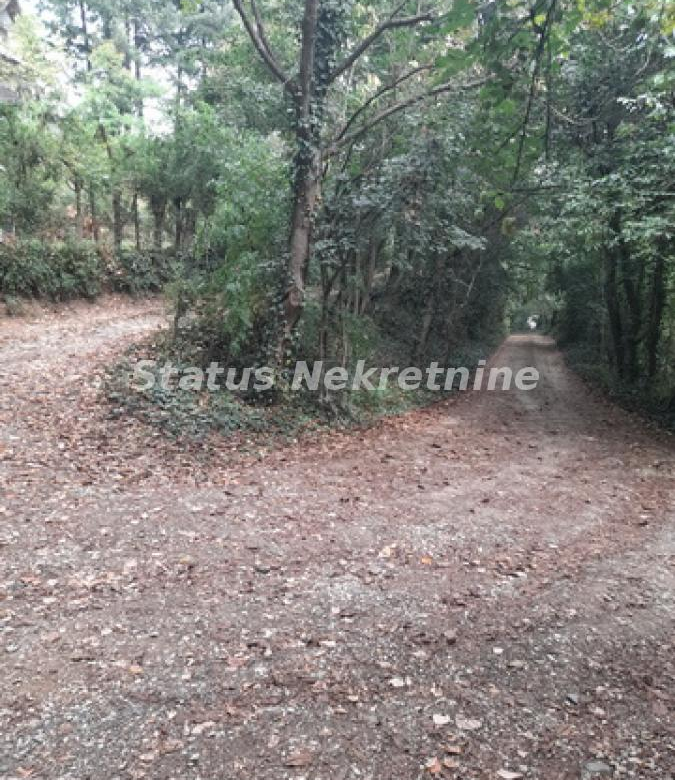 Plac Prodaja Sremski Karlovci  0 m2