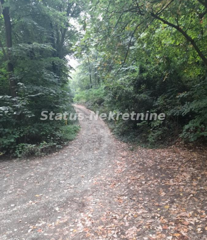 Plac Prodaja Sremski Karlovci  0 m2