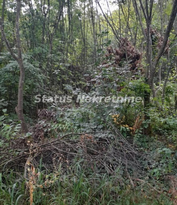 Plac Prodaja Sremski Karlovci  0 m2