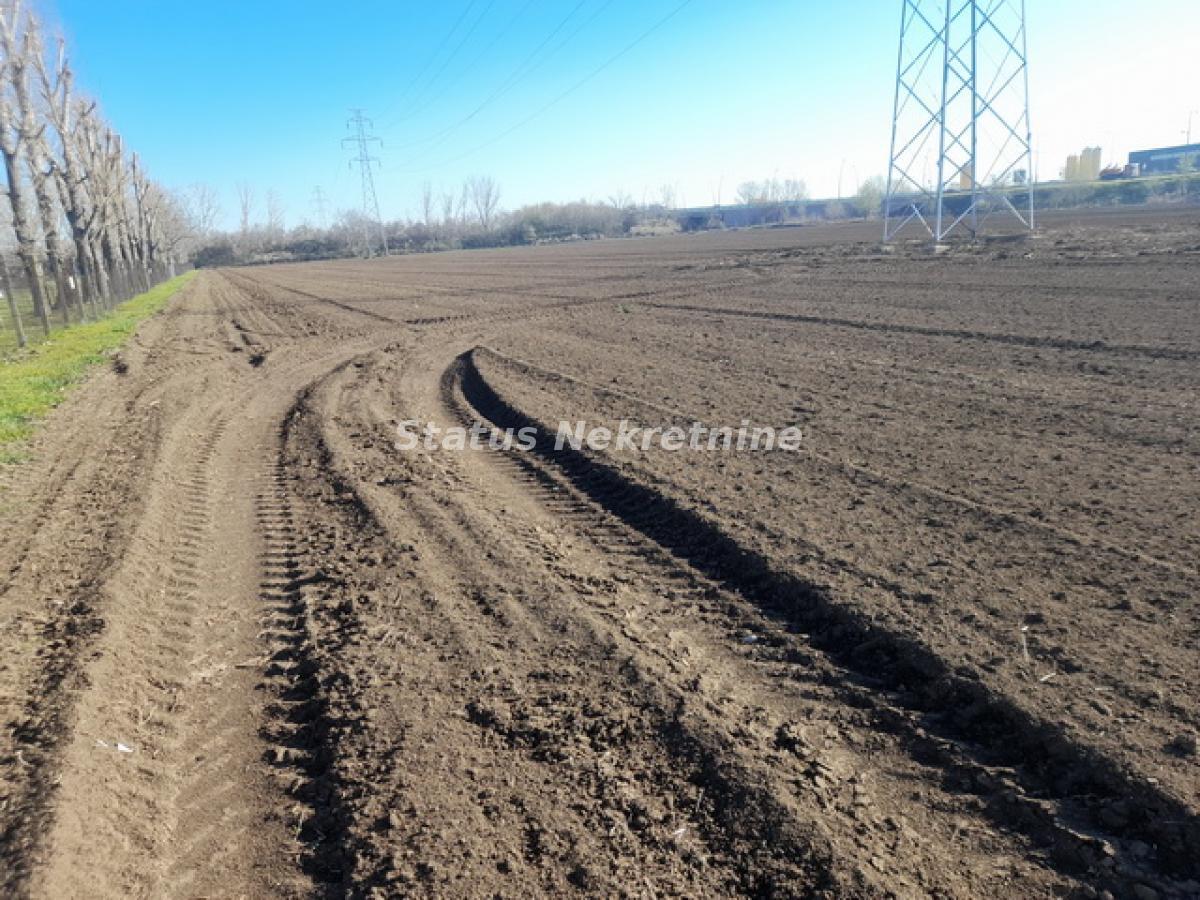 Plac Prodaja Novi Sad  0 m2