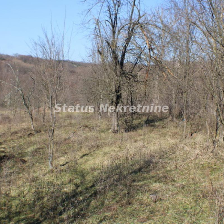 Plac Prodaja Vrdnik  0 m2