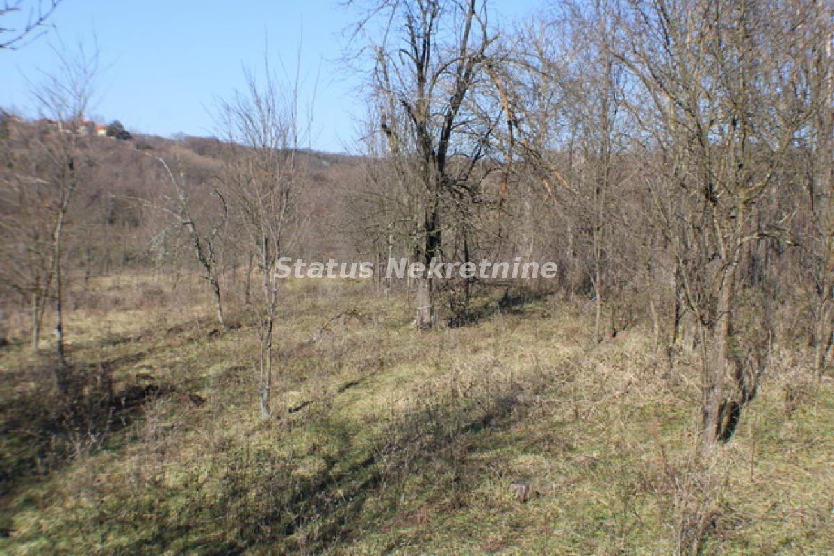 Plac Prodaja Vrdnik  0 m2