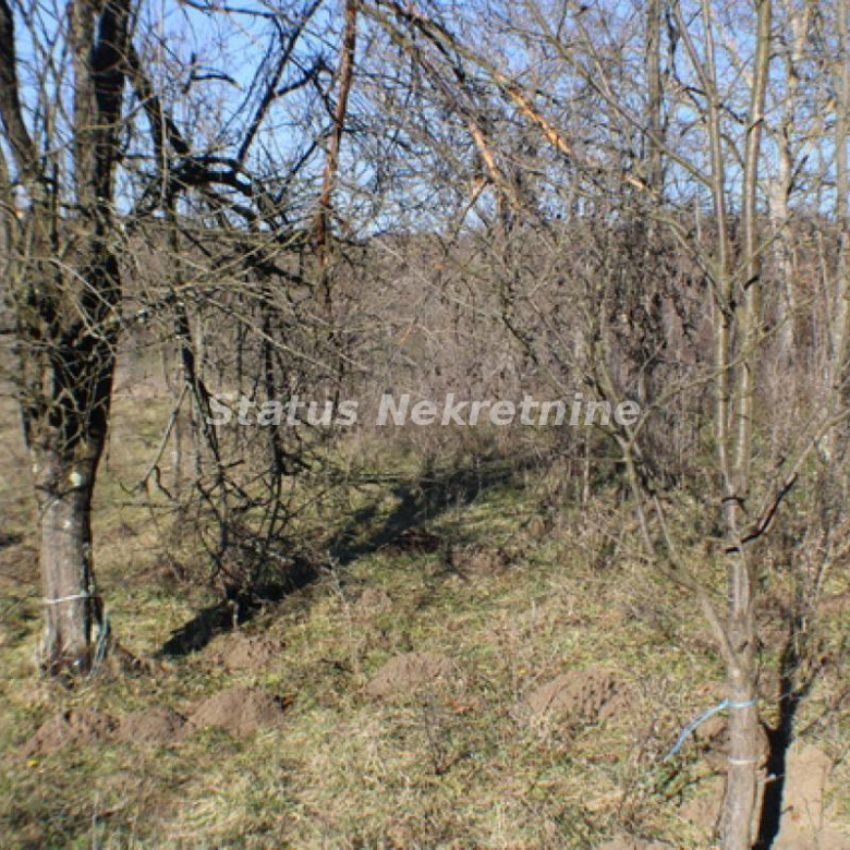 Plac Prodaja Vrdnik  0 m2