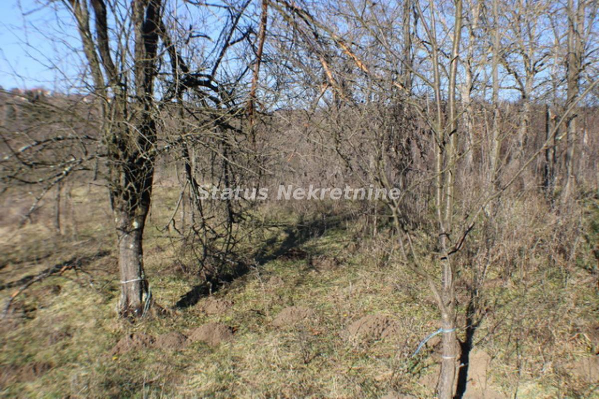 Plac Prodaja Vrdnik  0 m2