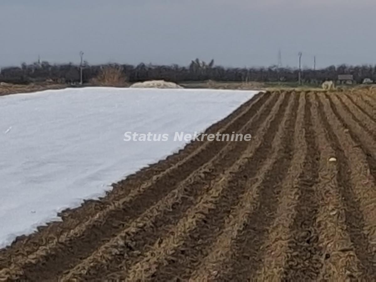 Plac Prodaja Novi Sad  12710 m2