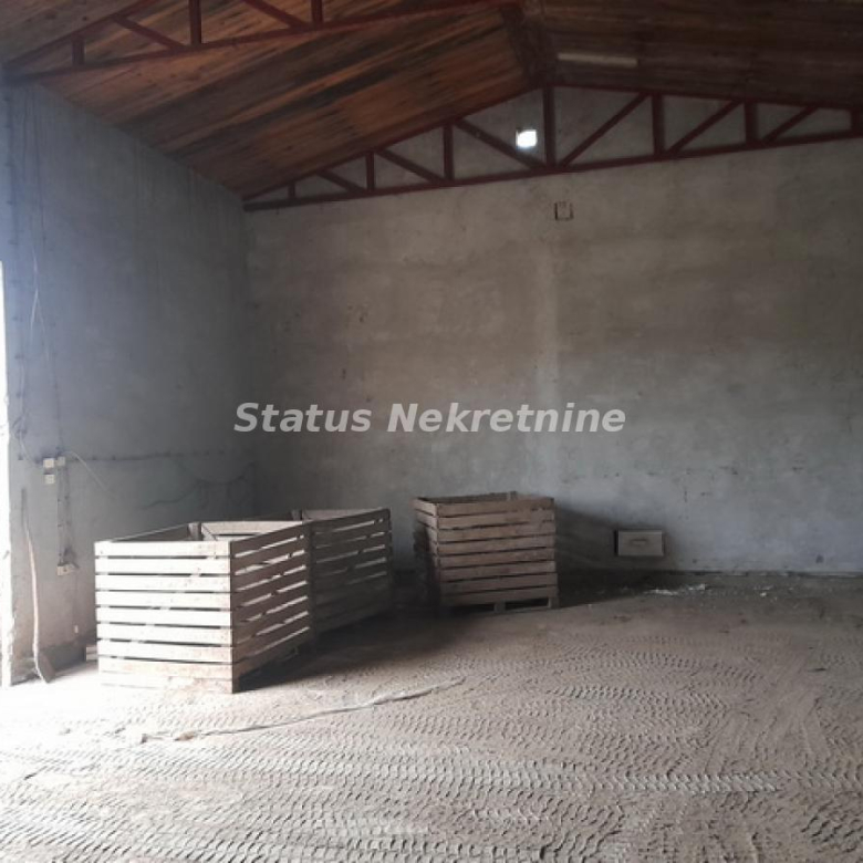 Lokal Izdavanje Novi Sad  128 m2