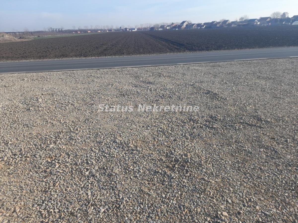 Plac Izdavanje Novi Sad Plac Izdavanje Novi Sad 0 m2