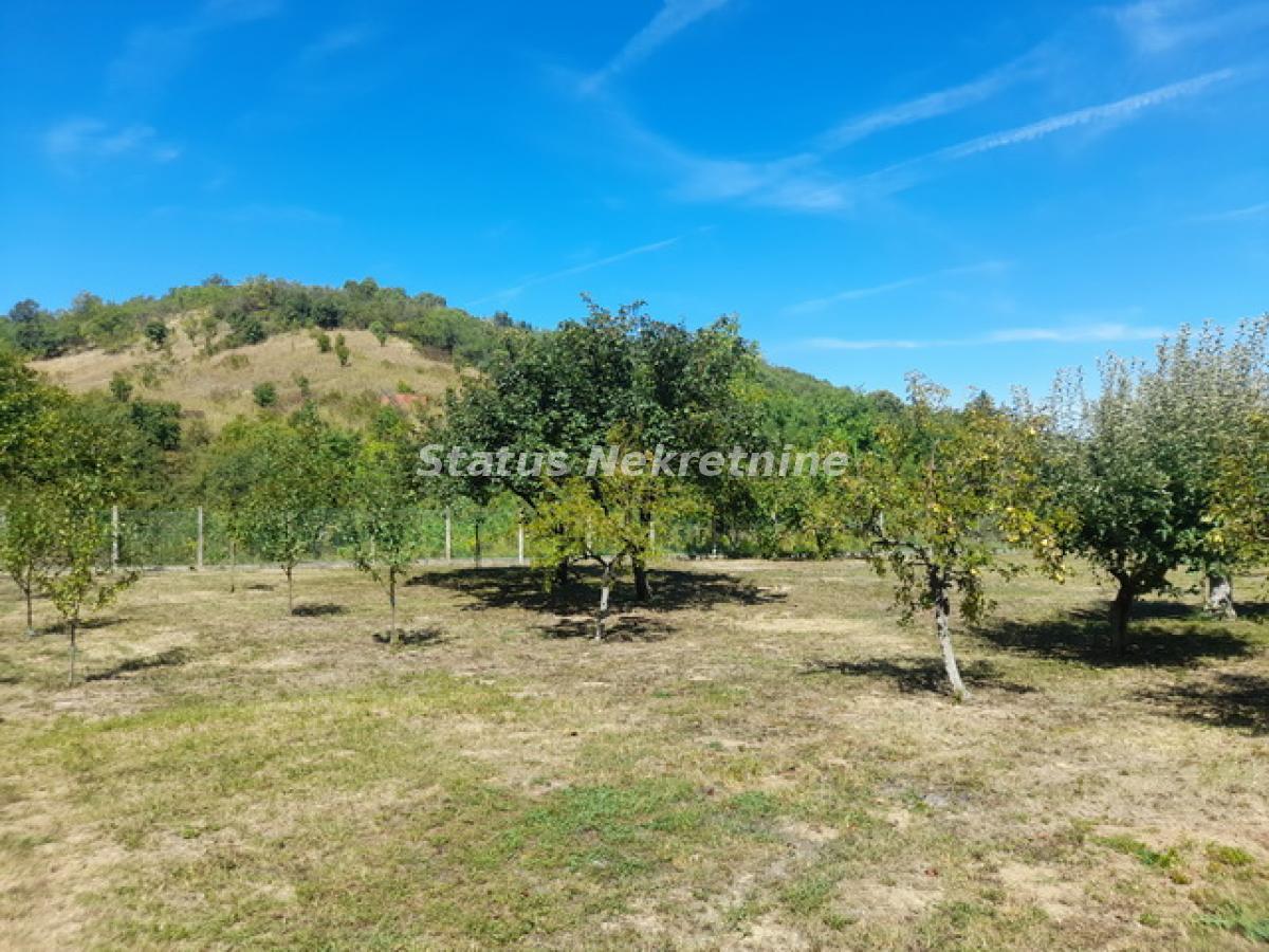 Kuća Prodaja Novi Sad  138 m2