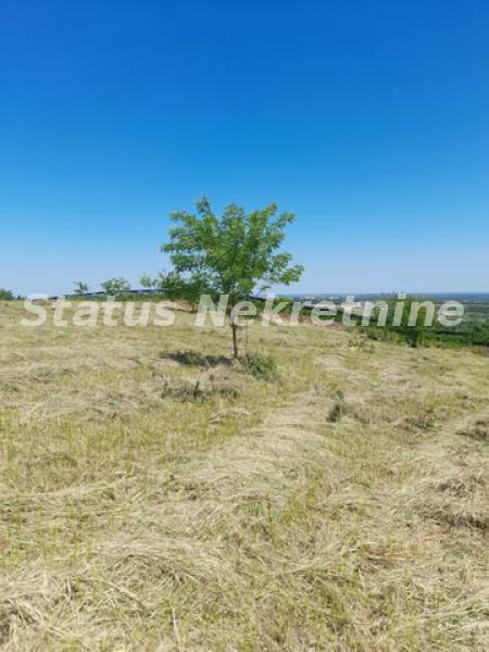 Plac Prodaja Novi Sad  0 m2