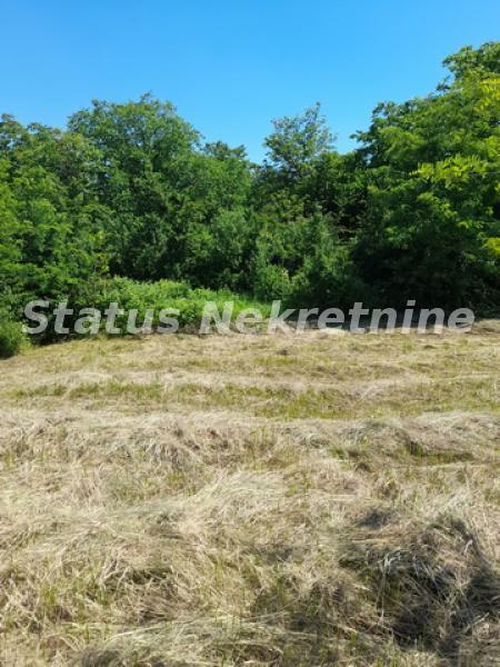 Plac Prodaja Novi Sad  0 m2