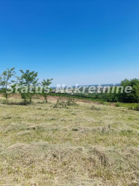Plac Prodaja Novi Sad  0 m2