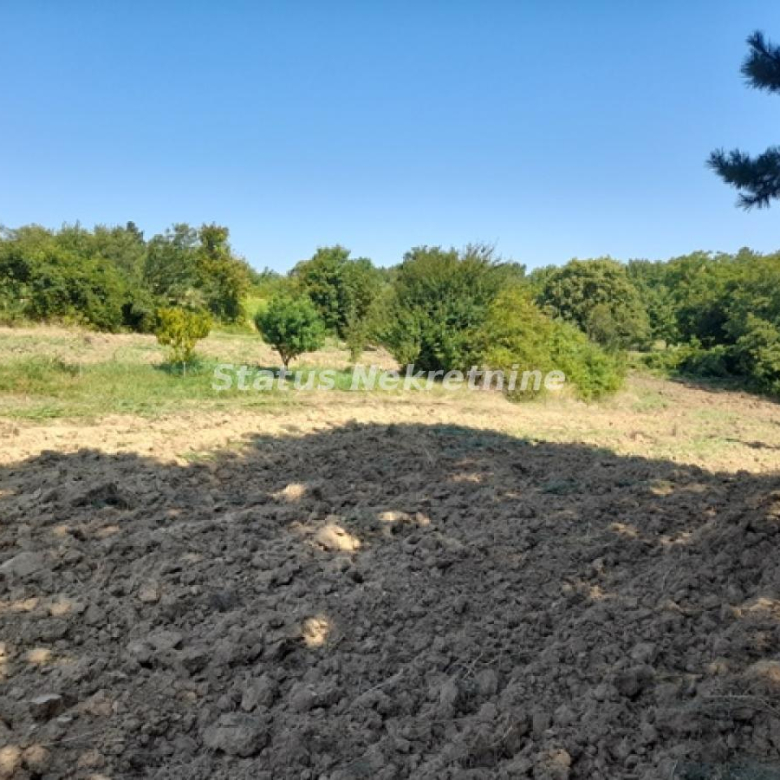 Plac Prodaja Inđija  0 m2