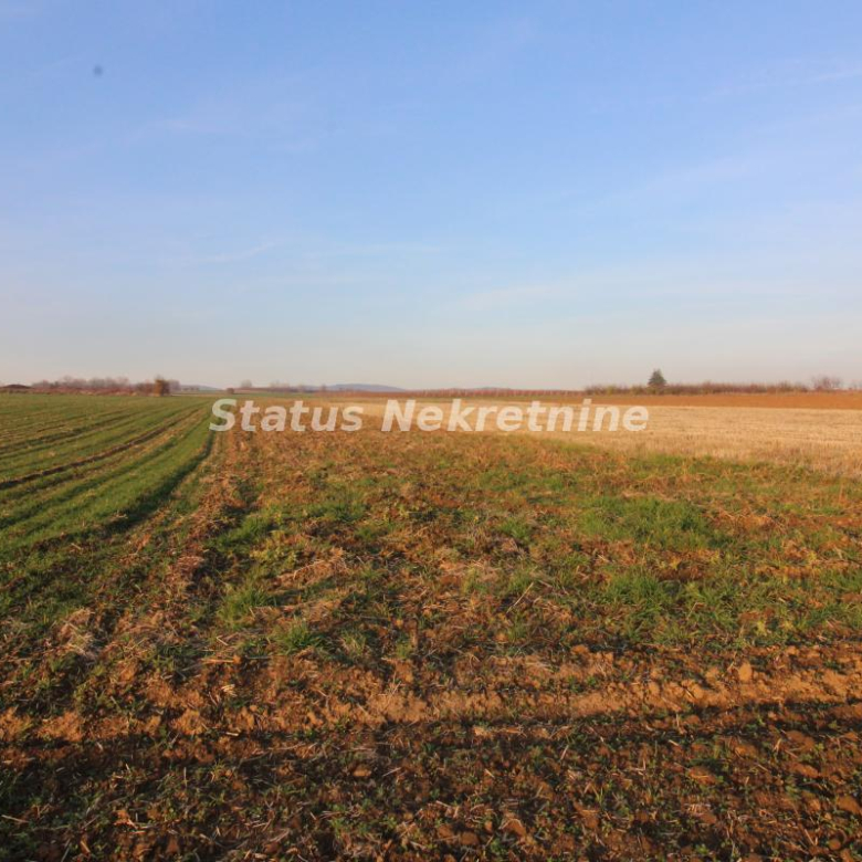 Plac Prodaja Irig  0 m2