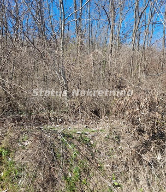 Plac Prodaja Sremski Karlovci  0 m2