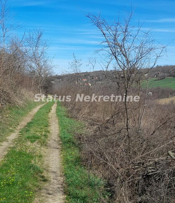 Plac Prodaja Sremski Karlovci  0 m2