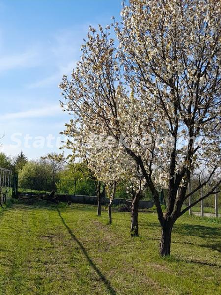 Kuća Prodaja Sremski Karlovci  134 m2