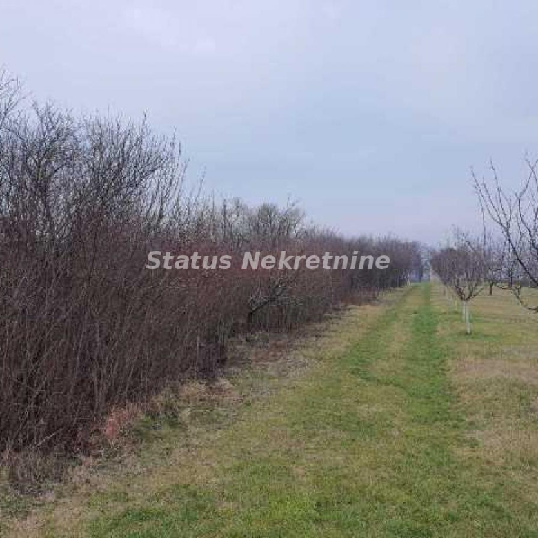 Plac Prodaja Inđija  0 m2