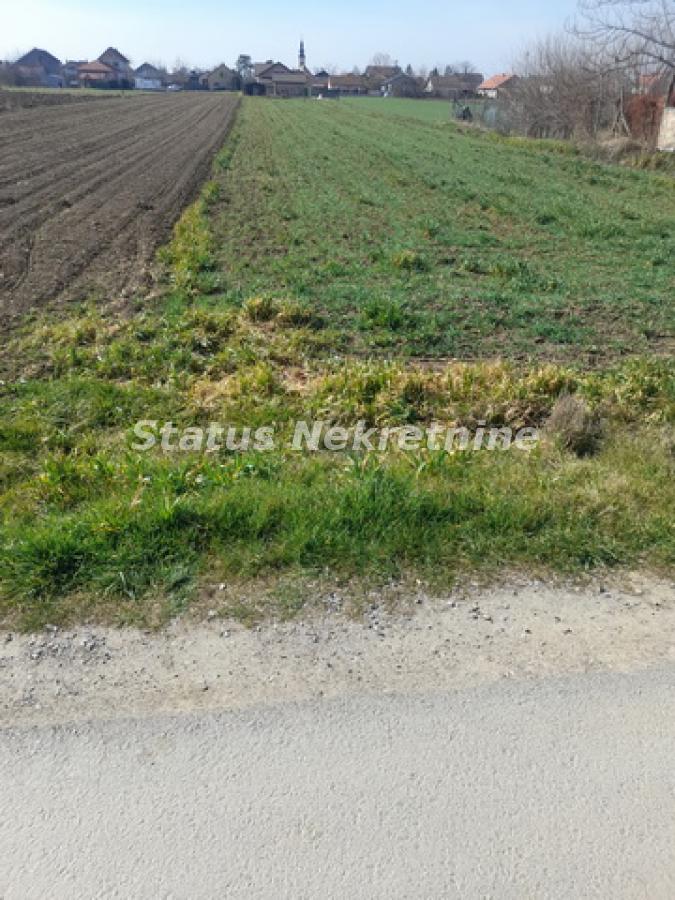 Plac Prodaja Novi Sad  0 m2