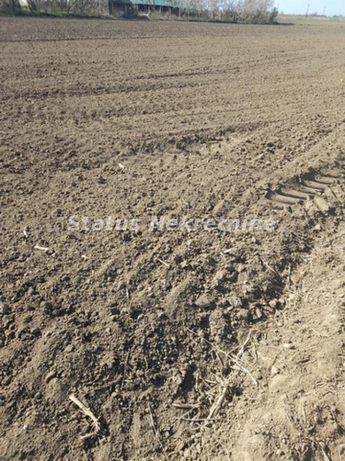 Plac Prodaja Novi Sad Plac Prodaja Novi Sad 0 m2