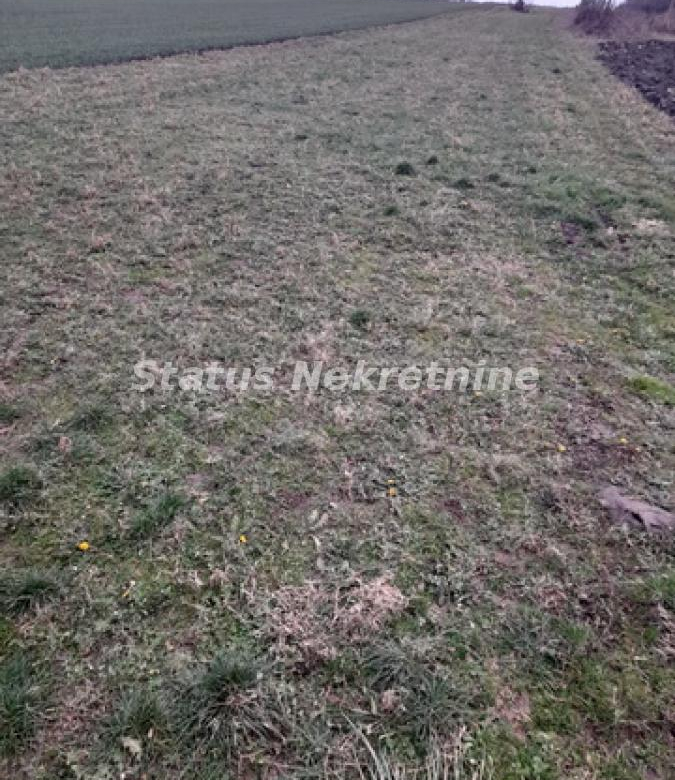 Plac Prodaja Novi Sad  0 m2