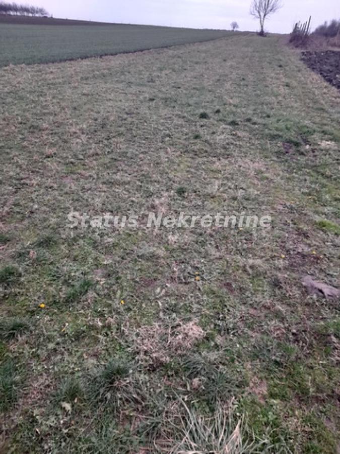 Plac Prodaja Novi Sad Plac Prodaja Novi Sad 0 m2