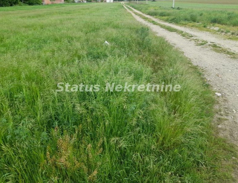 Plac Prodaja Novi Sad  0 m2