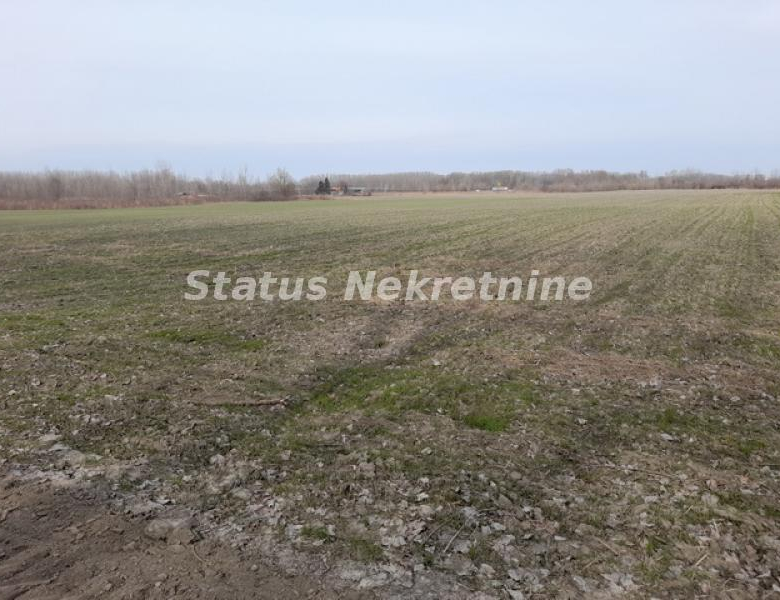 Plac Prodaja Novi Sad  0 m2
