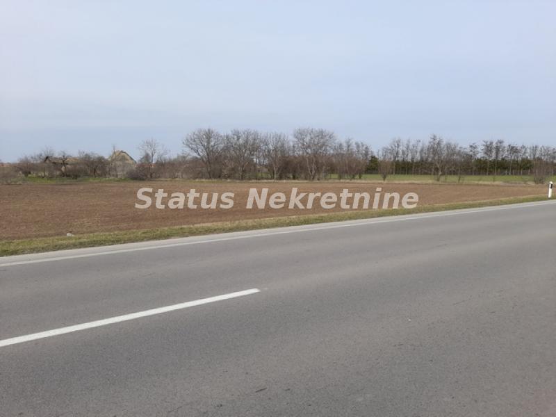 Plac Prodaja Žabalj Plac Prodaja Žabalj 0 m2